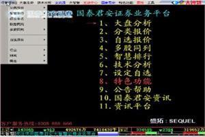 大智慧,国泰君安,国泰君安大智慧,国泰君安大智慧软件